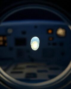 New microbe discovered aboard Chinese space station
