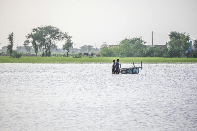50 Villages Underwater in Odisha – Did This Person Survive the Floods?