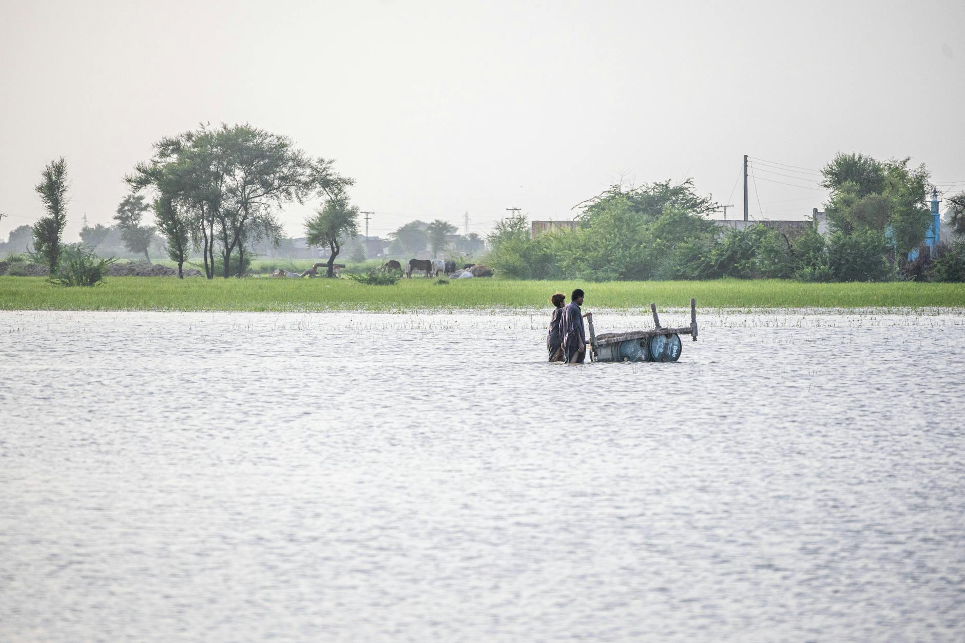 50 Villages Underwater in Odisha – Did This Person Survive the Floods?