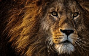 Blackstone’s Bold 0B Bet on Europe – Why It’s Happening Now!