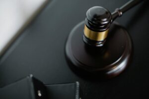 Court Hearing from a Toilet? This Viral Video Will Shock You!