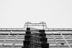 Cow Escapes Auction by Scaling Bleachers, Destroys Roof