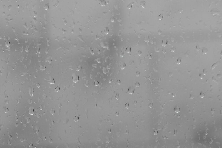 Delhi Braces for Storms & Heavy Rain – IMD Warns Residents!