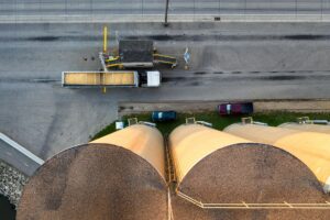 Funds’ Bearish Sentiment on US Grains Hits 9-Month High