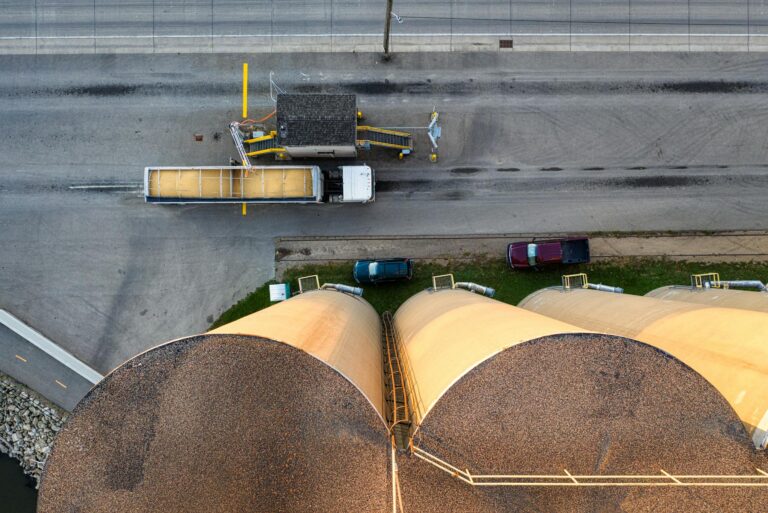 Funds’ Bearish Sentiment on US Grains Hits 9-Month High