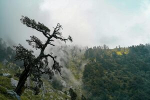 Heavy Rains in Himachal Till June 22 – Is Your Area Affected?