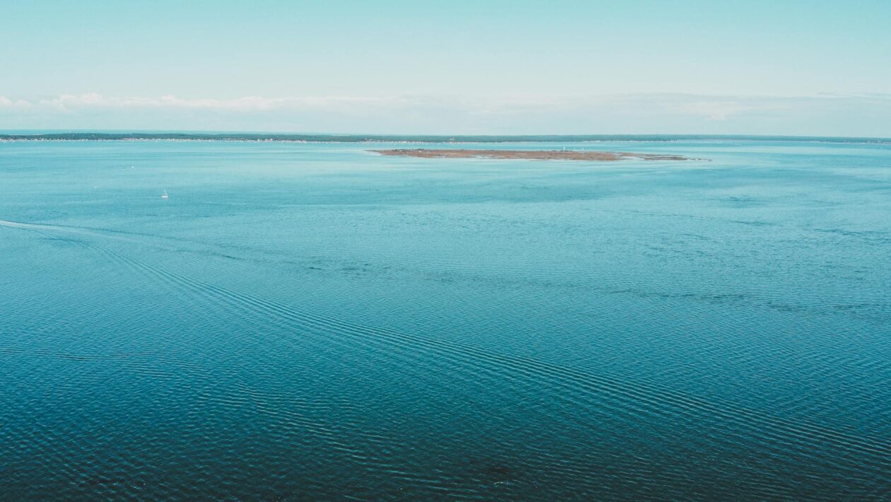 Nice Drone Show Highlights UN Ocean Conference 2025
