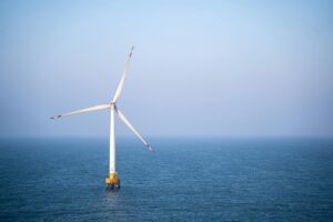 RFK Jr. Exposes the Shocking Truth About Offshore Wind Farms – Whales at Risk!
