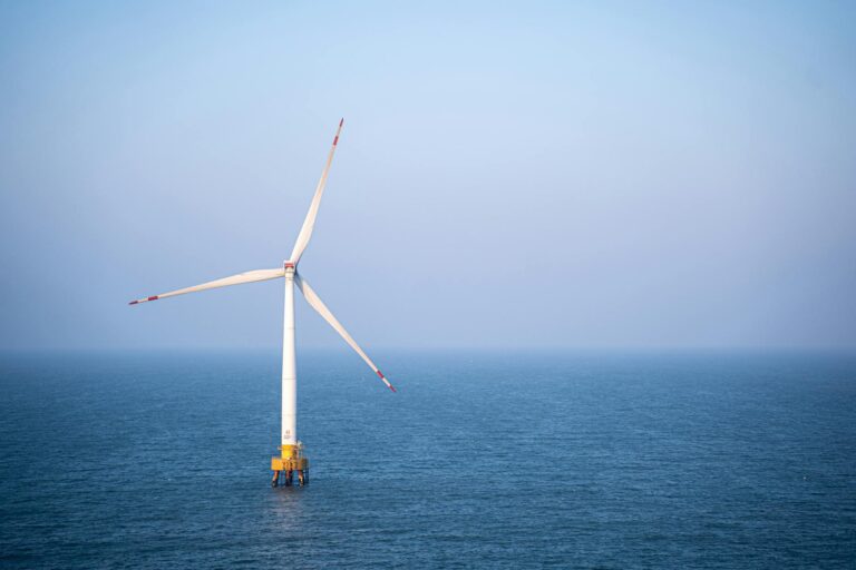 RFK Jr. Exposes the Shocking Truth About Offshore Wind Farms – Whales at Risk!