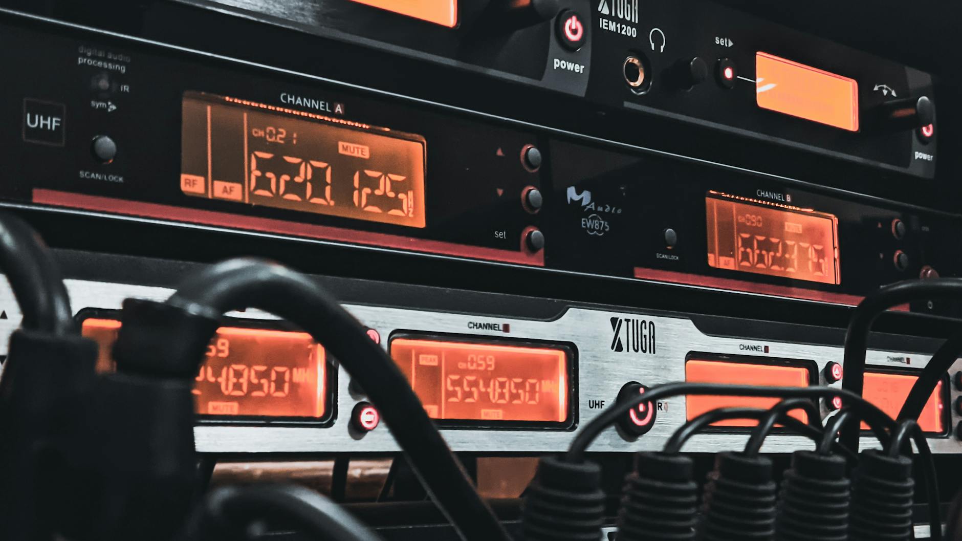 Scientists Record Clicking Sounds in Rig Sharks – First Ever