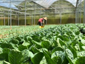 Why Abundance Isn’t Enough: The Hidden Cost of Worker Misery