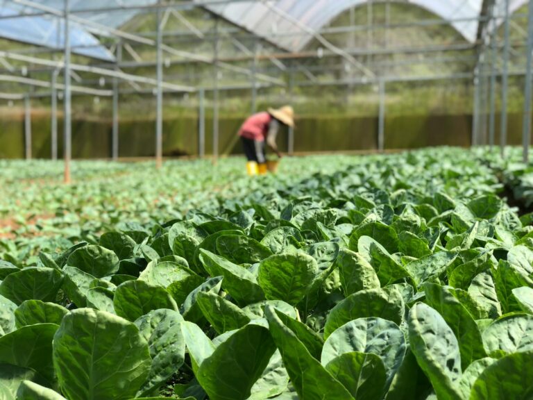 Why Abundance Isn’t Enough: The Hidden Cost of Worker Misery