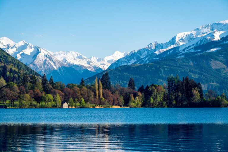 ISRO & NASA’s Secret Weapon: A Satellite That Can See Through Forests & Glaciers!