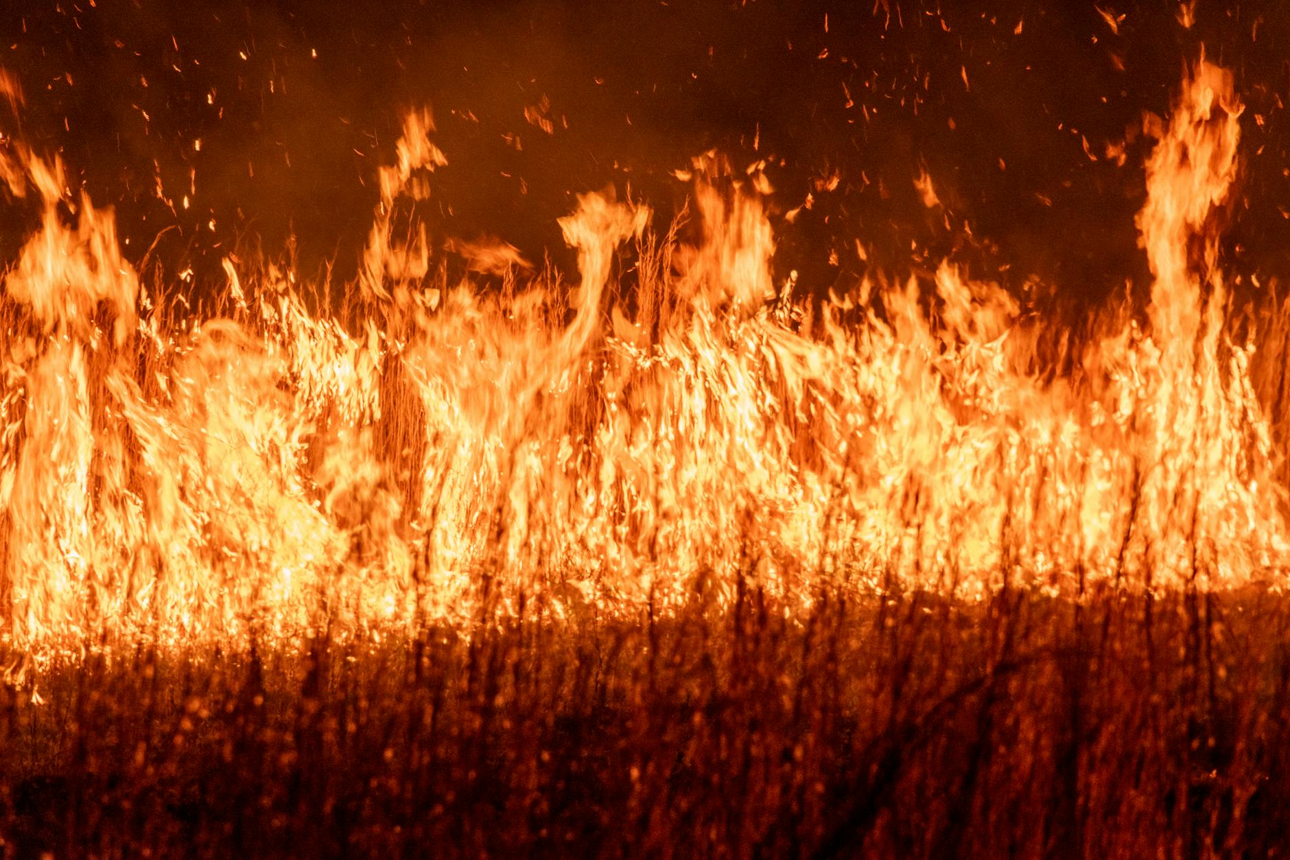 Shinde s Jai Gujarat Sparks Firestorm Why Thackeray Co 20250704230234043577