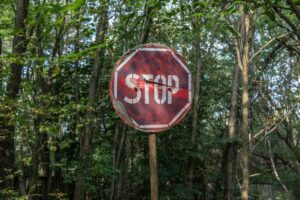 Shocking Reason Why Vande Bharat Was Suddenly Stopped – Safety Alert!