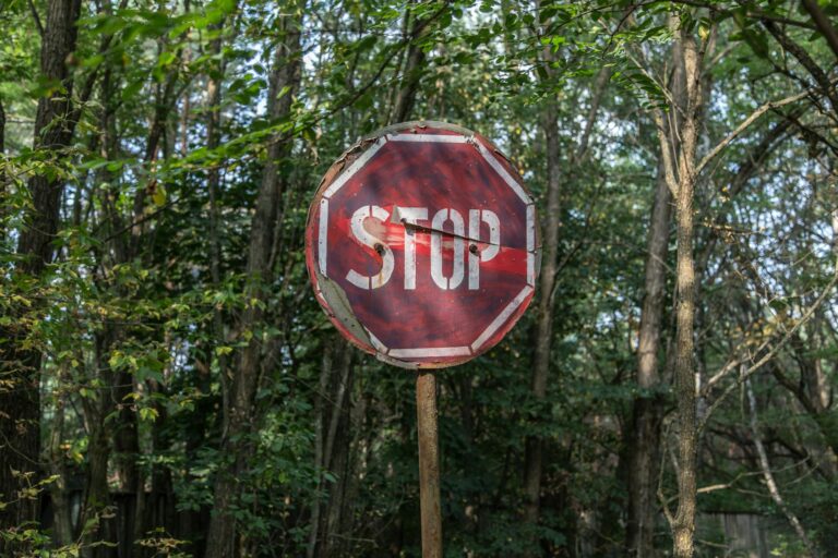 Shocking Reason Why Vande Bharat Was Suddenly Stopped – Safety Alert!